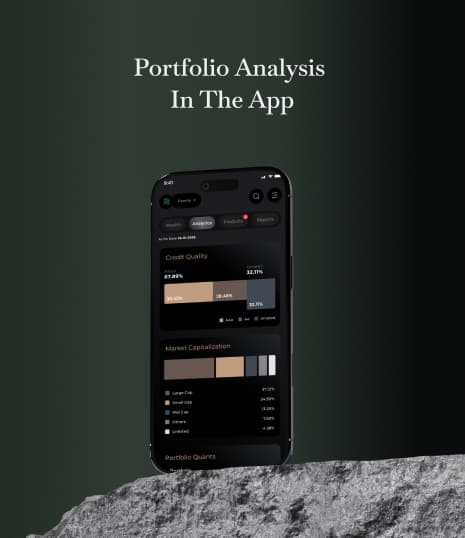 Portfolio Analysis In The App
